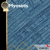 Lynel Palea Myosotis