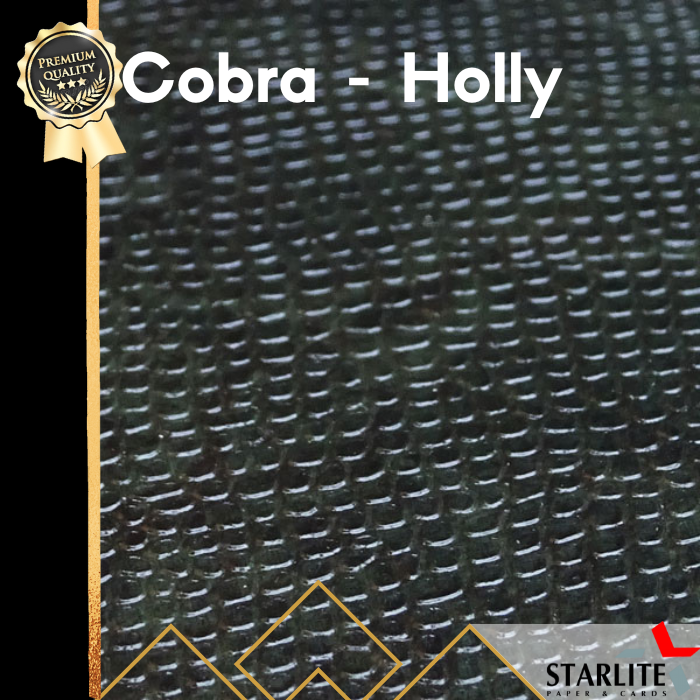 Cobra - Holly